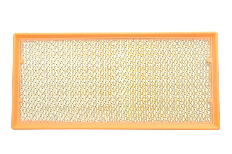 Фильтр воздушный Audi Q7/VW Touareg/Land Rover Range Rover III 04-12 (с сеткой) ALPHA FILTER