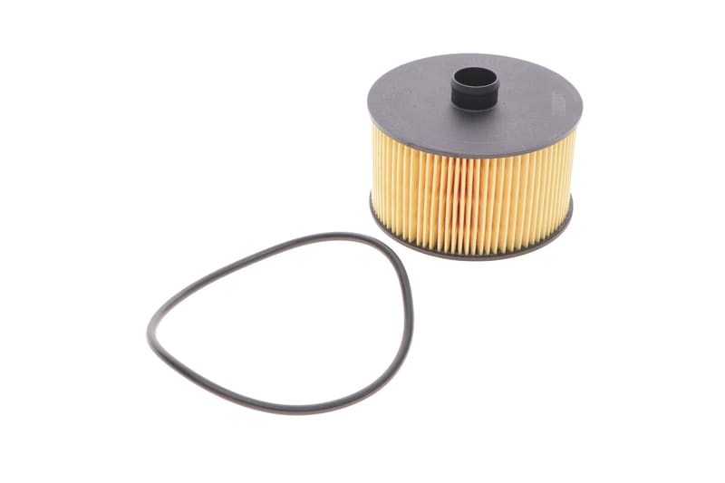 Фільтр масляний Renault Kangoo/Megane III/IV/Scenic III/IV 1.2TCe 12- HENGST FILTER