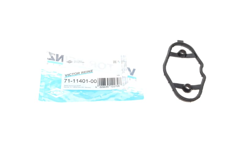 Прокладка насоса топливного BMW 3 /5 2.0-4.4 13-(B38/B58/B48/N20/N63) REINZ