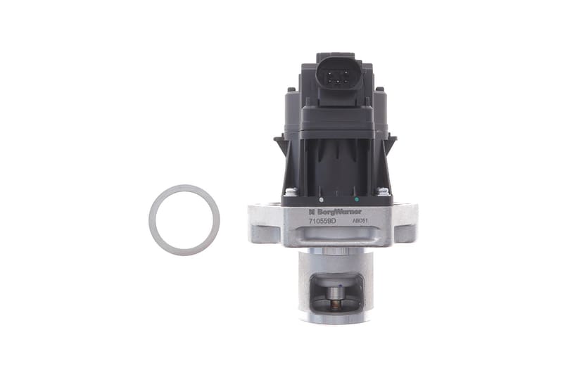 Клапан EGR Fiat Ducato/Doblo 1.6-2.0D 10- WAHLER
