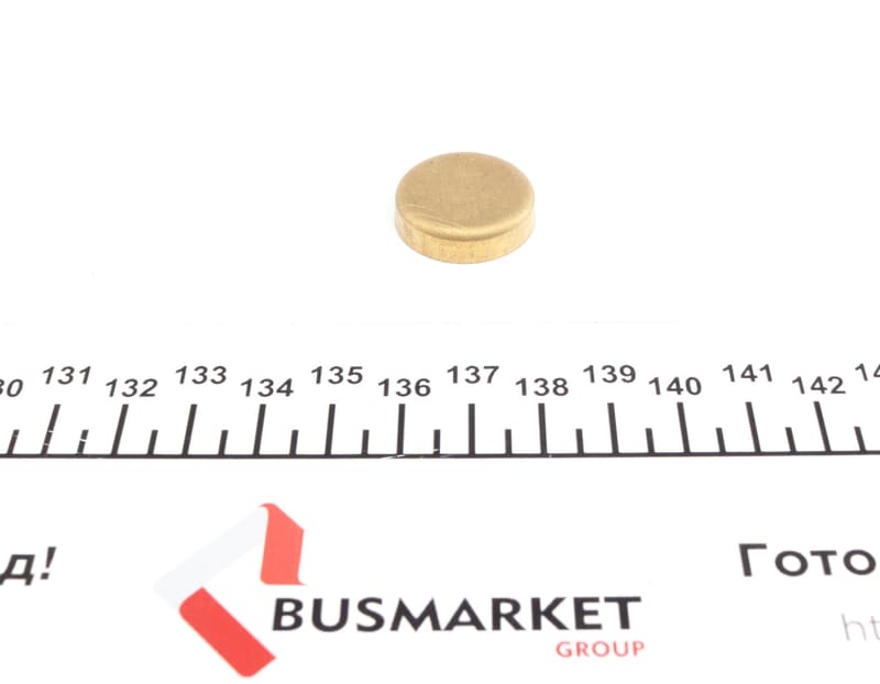 Заглушка блоку циліндрів (d=23mm) Латунь/Brass IMPERGOM