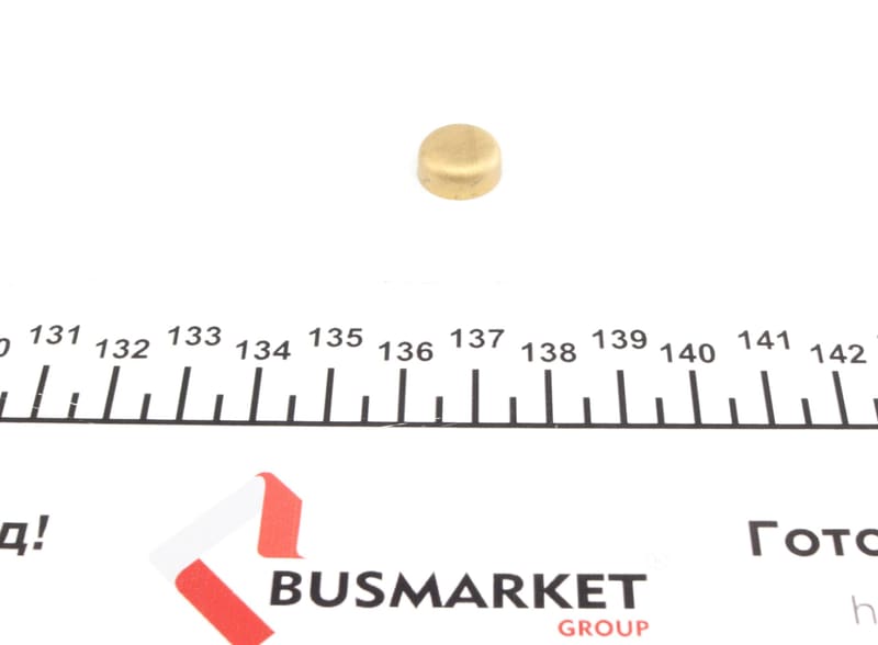 Заглушка блоку циліндрів (d=13mm) Латунь/Brass IMPERGOM