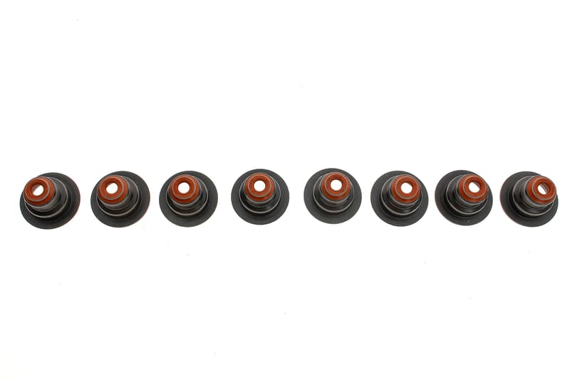 (к-кт) Сальник клапана (впуск/выпуск) Renault Kangoo/Clio 1.1/1.2 96- , D7F/D7D REINZ