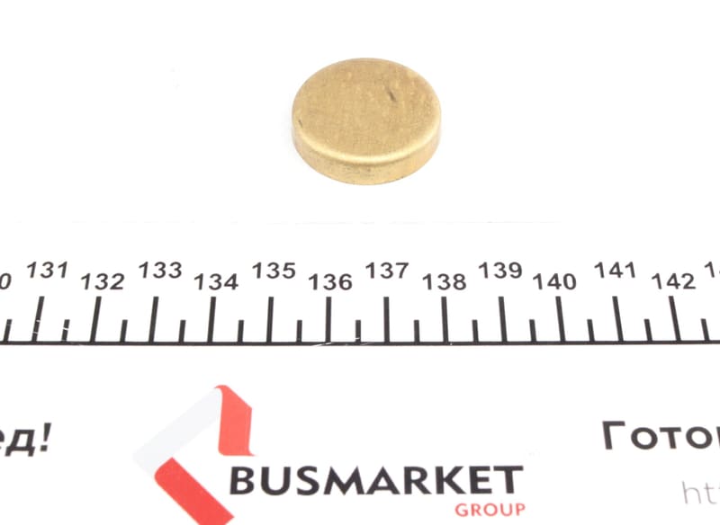 Заглушка блоку циліндрів (d=28,6mm) Латунь/Brass IMPERGOM