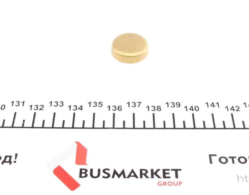 Заглушка блока цилиндров (d=21mm) Латунь/Brass IMPERGOM