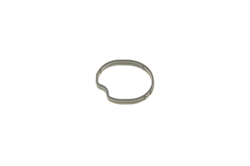 Прокладка термостата Ford Connect 1.8 TDCi 02- REINZ
