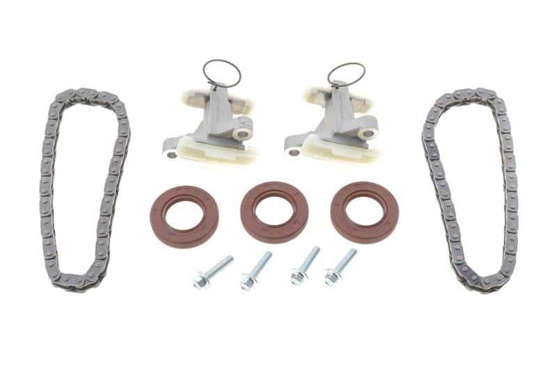 Комплект цепи ГРМ Citroen C5/C6/Peugeot 407 2.7/3.0HDi 08- SKF