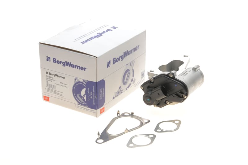 Клапан EGR Renault Megane II/Laguna II/Scenic II 1.9dCi 03- WAHLER