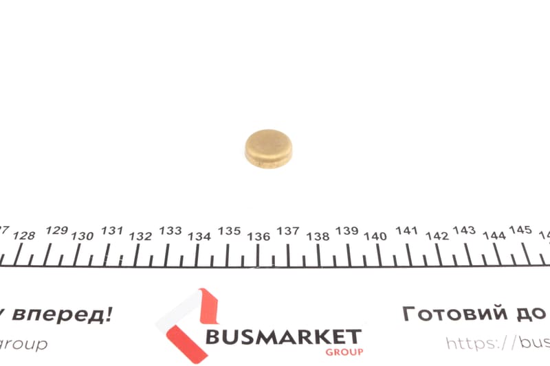 Заглушка блока цилиндров (d=18mm) Латунь/Brass IMPERGOM