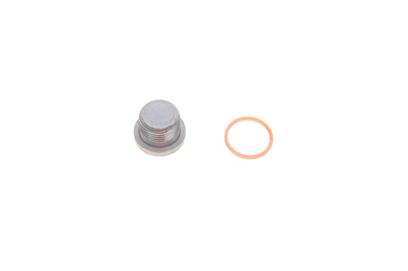 Болт слива масла + шайба BMW 5 (E60)/7 (E65)/X5 (E53/F15) (M18x1,5) FEBI BILSTEIN