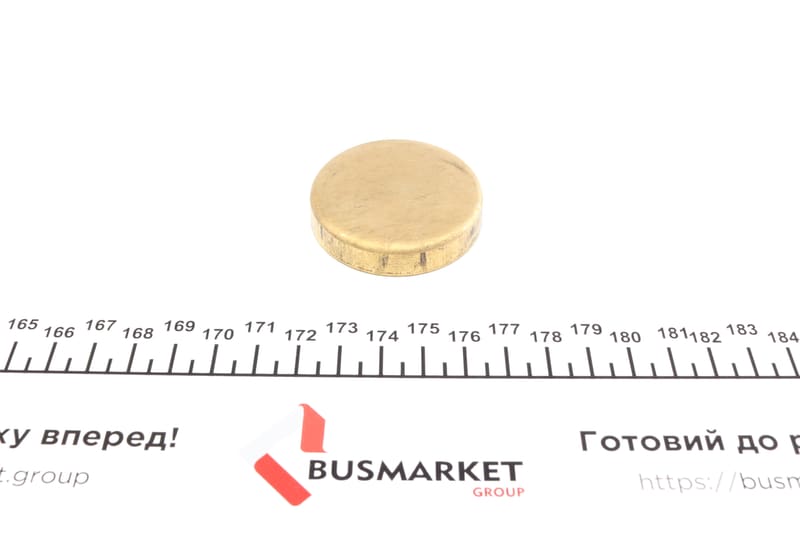 Заглушка блока цилиндров (d=47mm) Латунь/Brass IMPERGOM