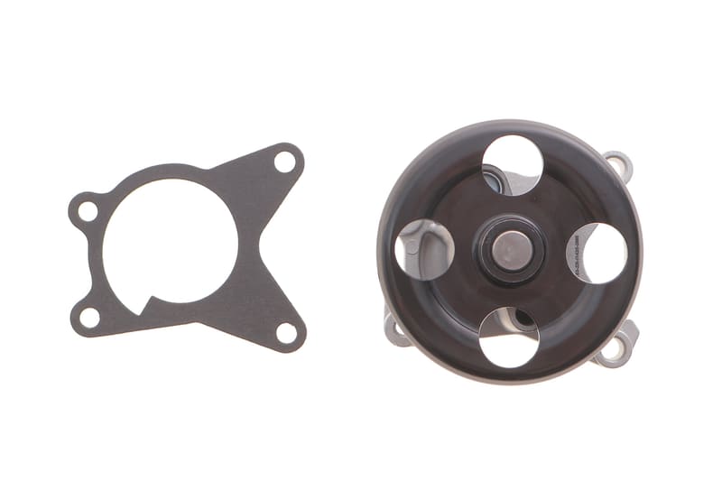 Помпа води Renault Laguna III/Megane III/Scenic III/Nissan X-Trail/Qashqai 2.0 16V 07- (R/B)(8 лоп) GRAF
