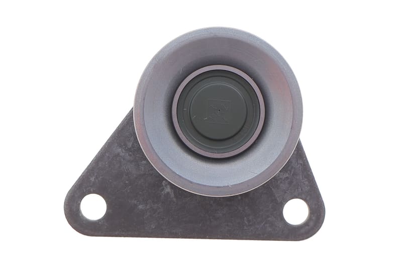 Ролик ГРМ Ford Focus/Renault Laguna 95-11 (паразитний) (53х27) FEBI BILSTEIN