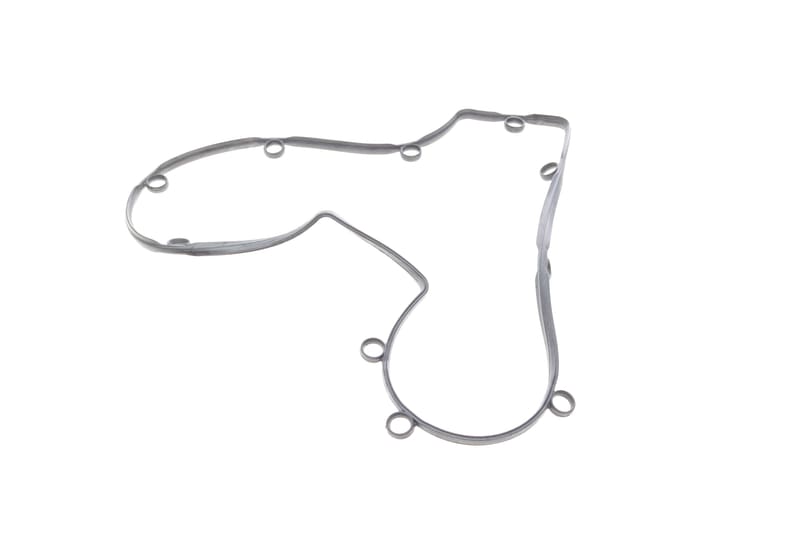 Прокладка кришки клапанів Fiat Scudo 2.0i 00-06 (L) ELRING