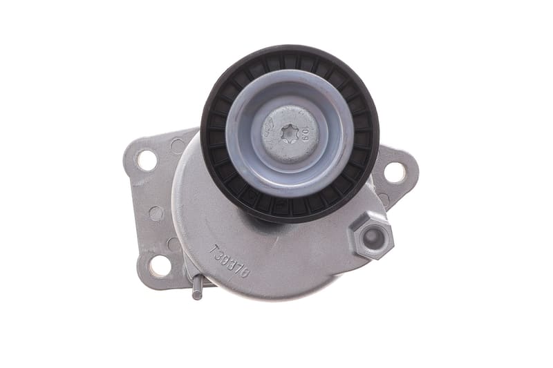 Натяжитель ремня генератора Citroen C4/C5/Peugeot Expert 2.0 HDi 09- SKF