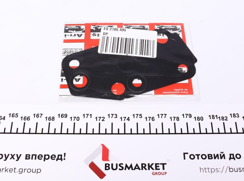 Прокладка помпы воды Ford Transit 2.4 Di 00-06 DP