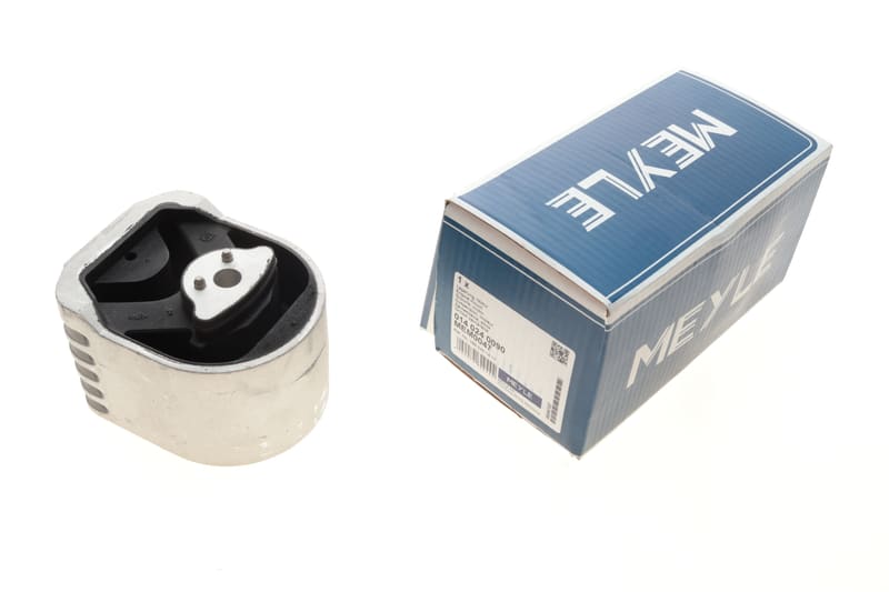 Подушка двигуна MB A-class (W169)/B-class (W245) 04-12 MEYLE