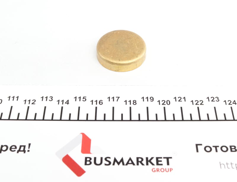 Заглушка блока цилиндров (d=32,6mm) Латунь/Brass IMPERGOM
