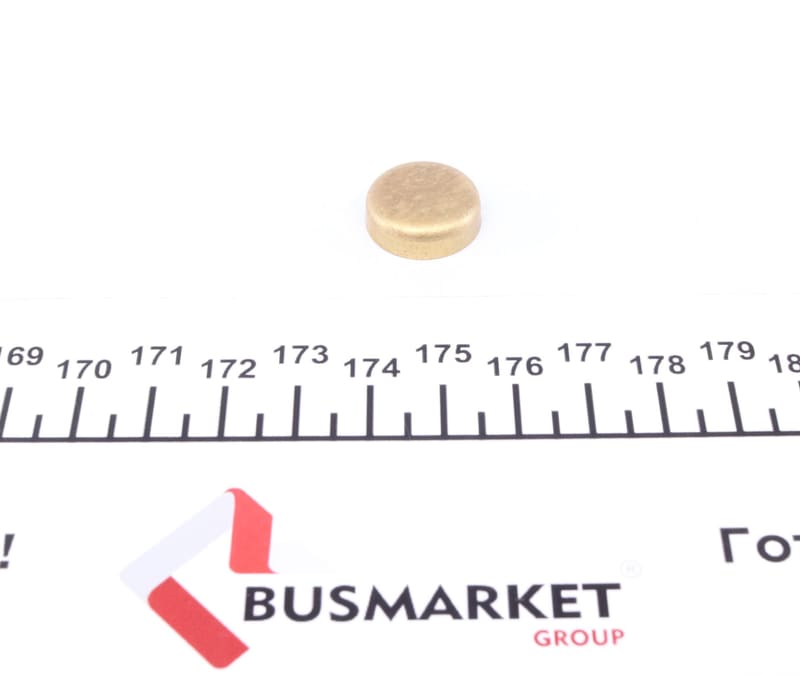 Заглушка блоку циліндрів (d=17,4mm) Латунь/Brass IMPERGOM