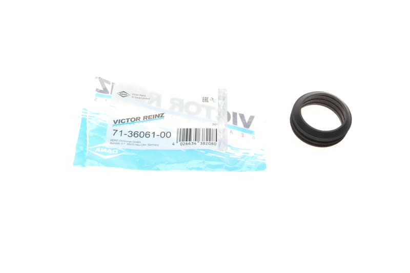 Прокладка колектора впускного Audi A3/Skoda Octavia/VW Golf IV/V/VI 1.6/2.0 98- REINZ
