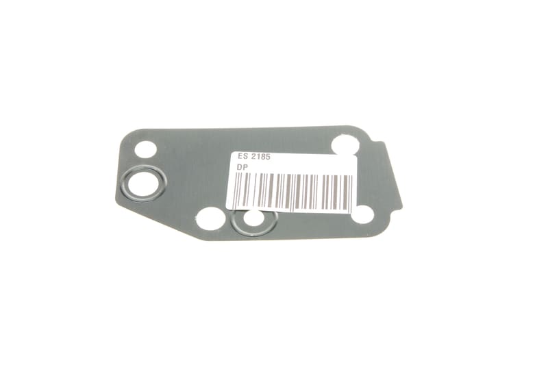 Прокладка помпы воды Ford Transit 2.4 Di 00-06 DP